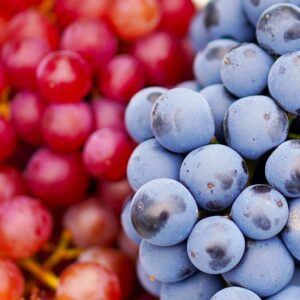 grapes, ripe, harvest-4495944.jpg